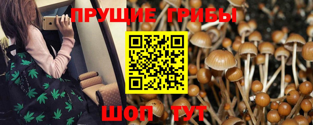 Протвино  Псилоцибиновые грибы Magic Shrooms  Вход с VPN 